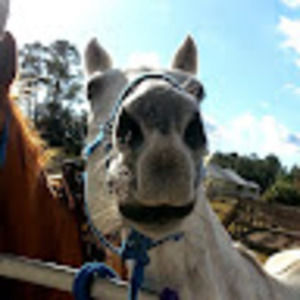 Meet your Posher, Rocki